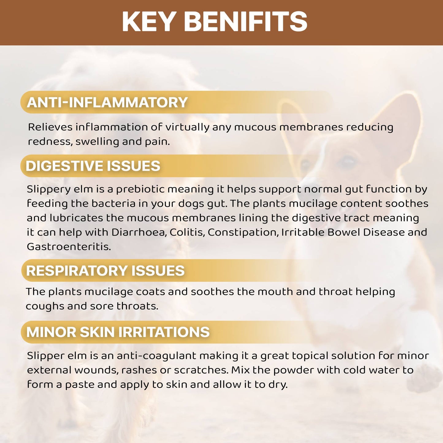 Key benefits of a product for dogs on a white background with a brown banner at the top.