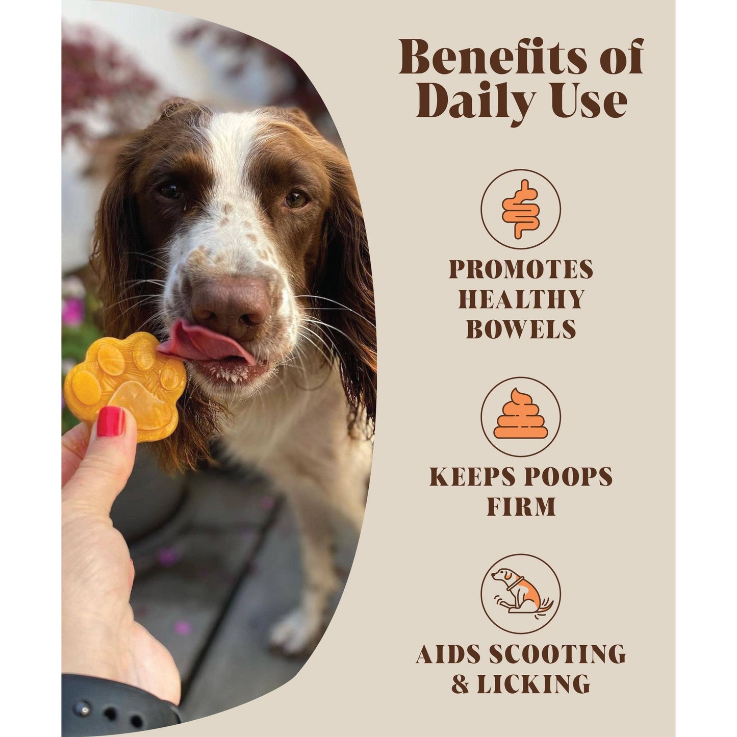 Dog with a paw-shaped treat and text about the benefits of daily use on a beige background