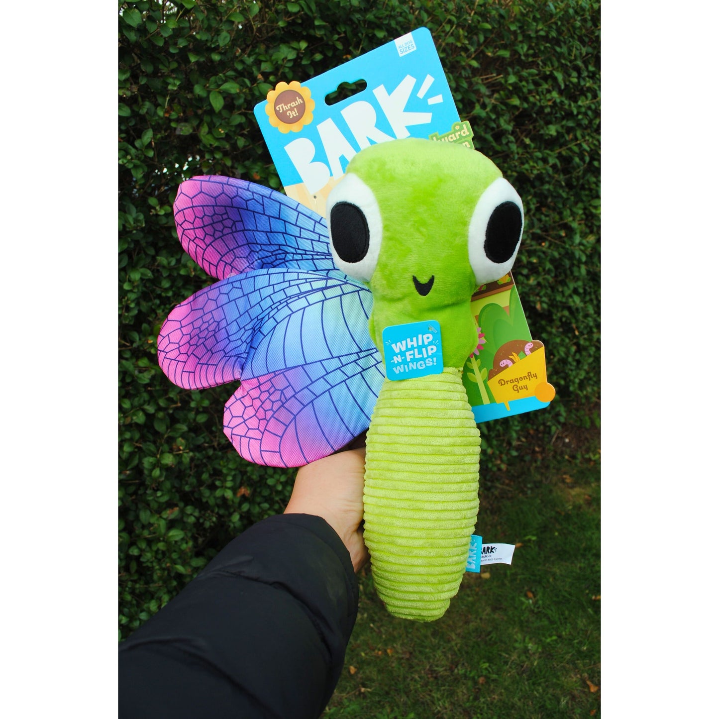 BARK Dragonfly Guy