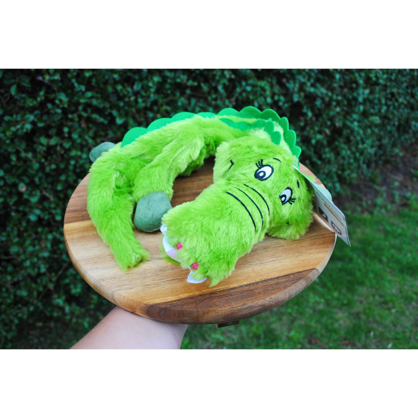 Crinkler Alligator