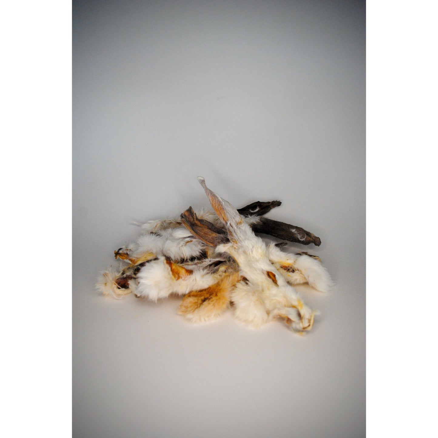 hairy rabbit ears in a pile on grey background