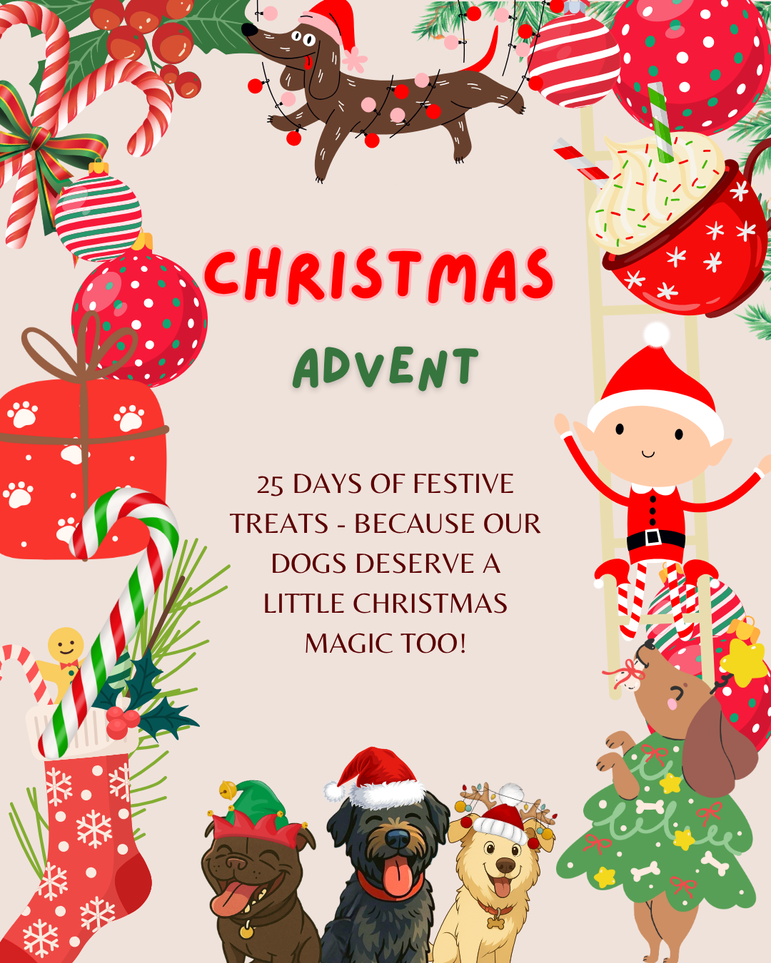 *PRE ORDER* Christmas Advent Calendar