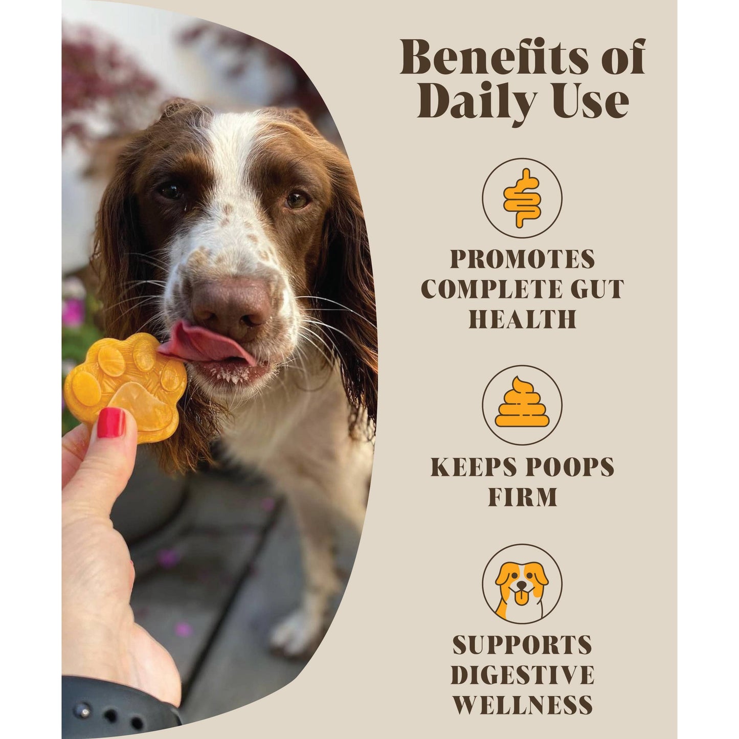 Dog with a paw-shaped treat and text about the benefits of daily use on a beige background
