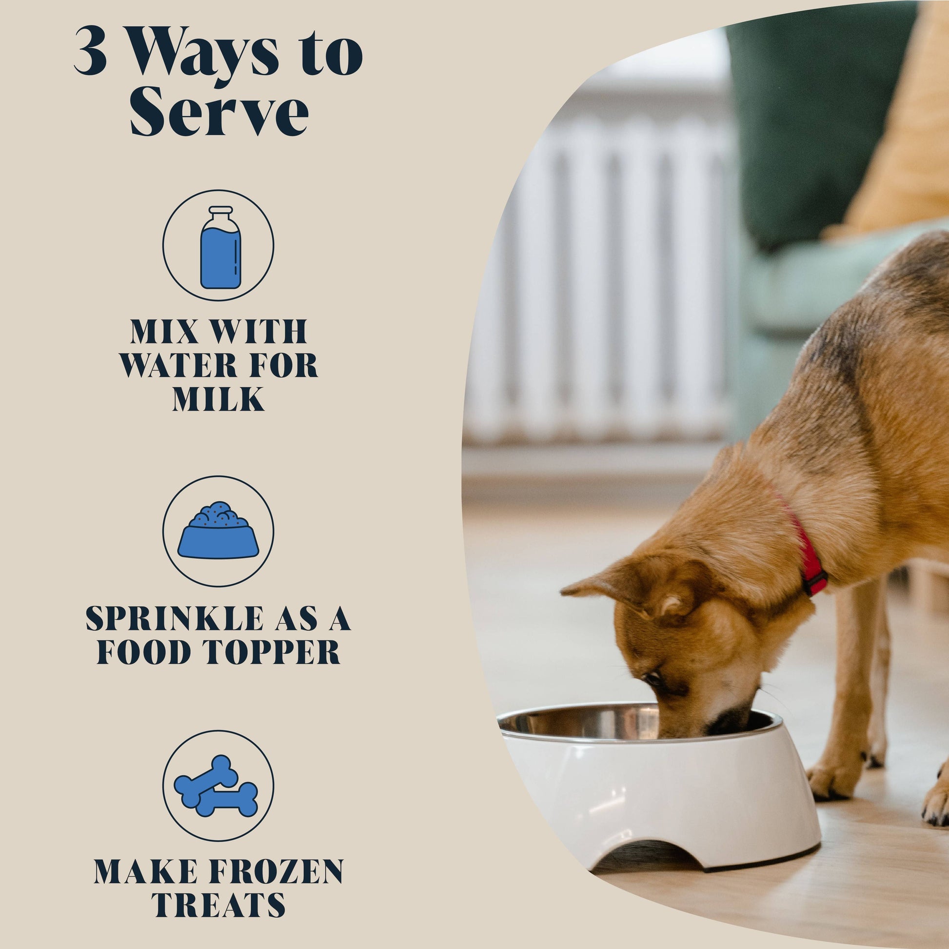 Dog drinking from a bowl with text on how to serve a product