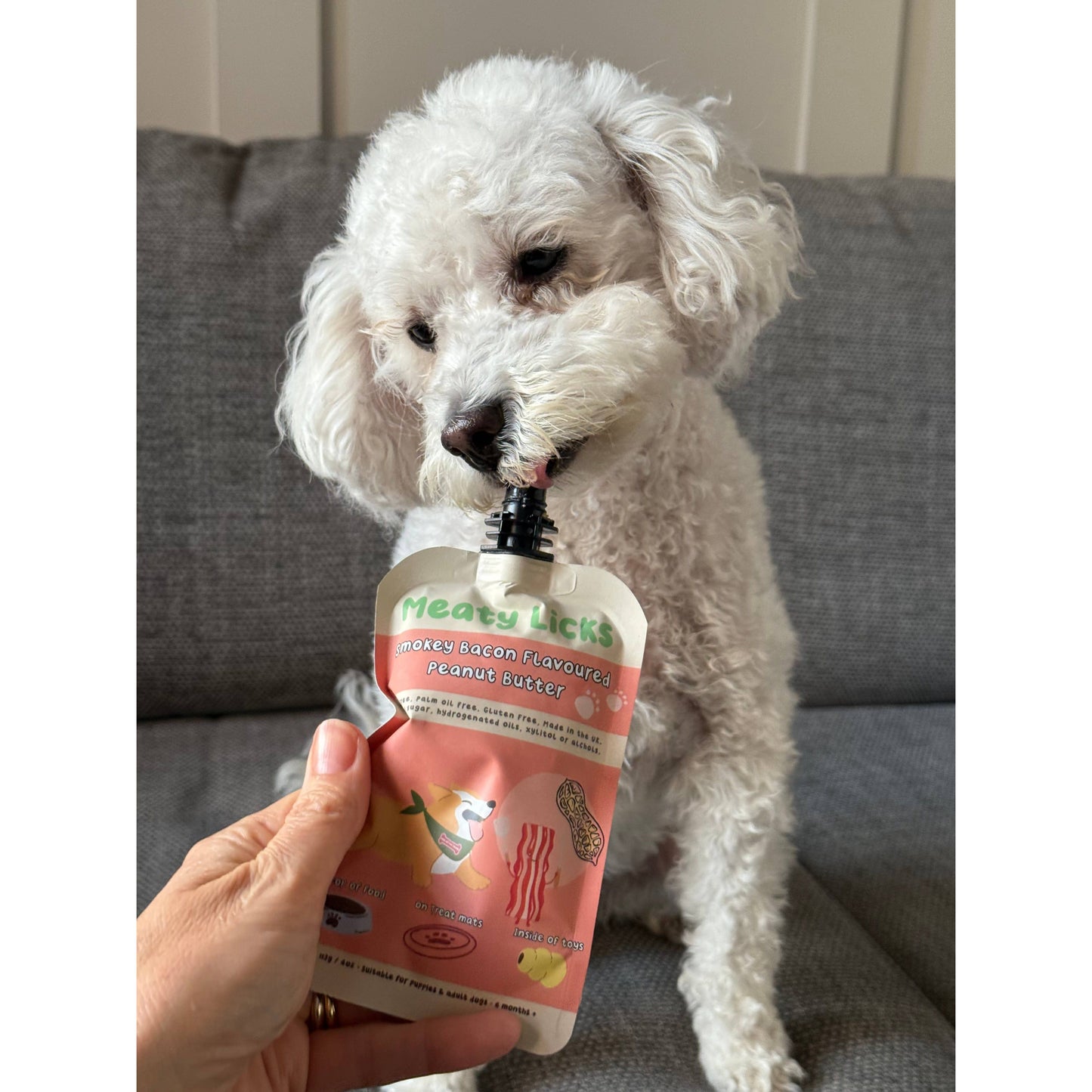 White dog sniffing a Meowy Licks product on a gray couch