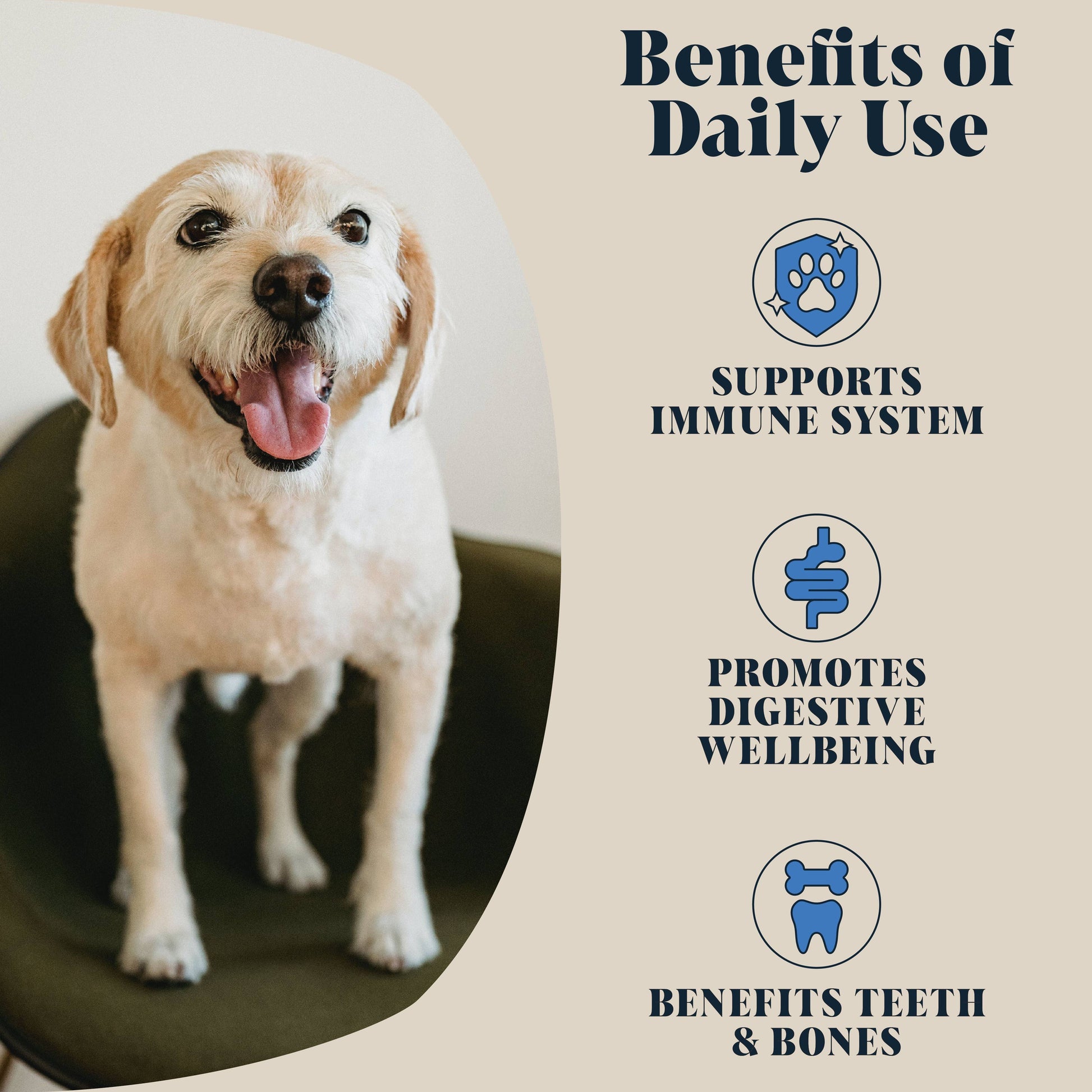 Dog sitting on a mat with text about the benefits of daily use, including immune system support, digestive wellbeing, and dental health.