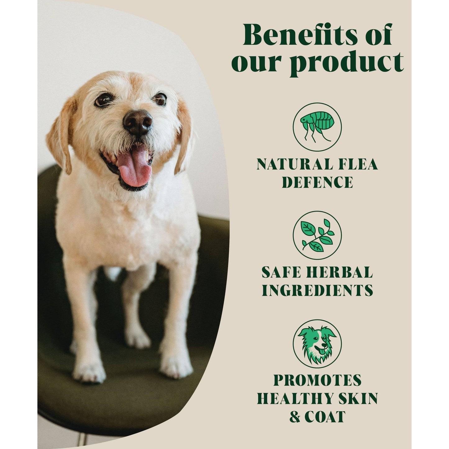 Dog with text on benefits of a product featuring natural flea defense, safe herbal ingredients, and healthy skin & coat.