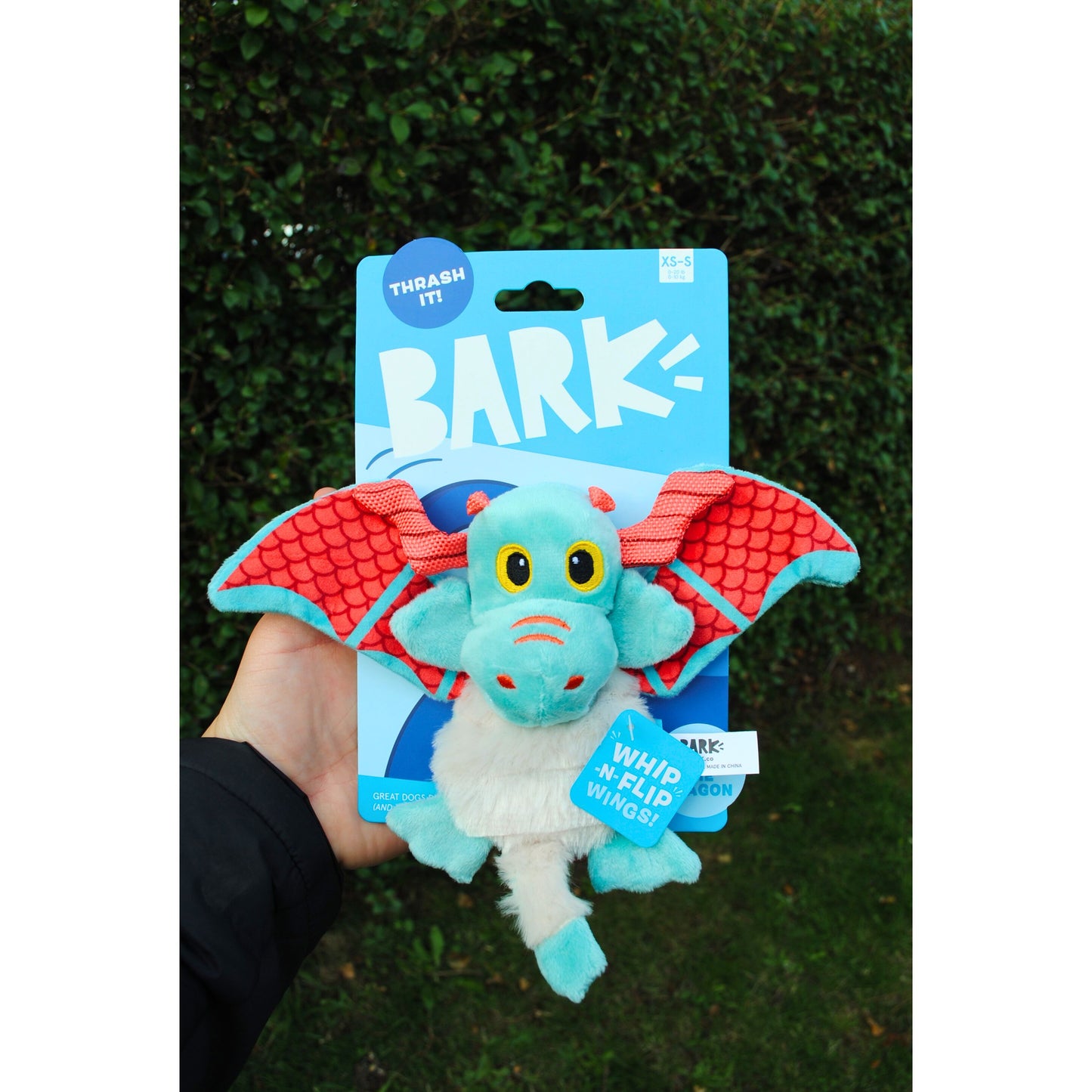 Small Colourful dragon, for small dogs