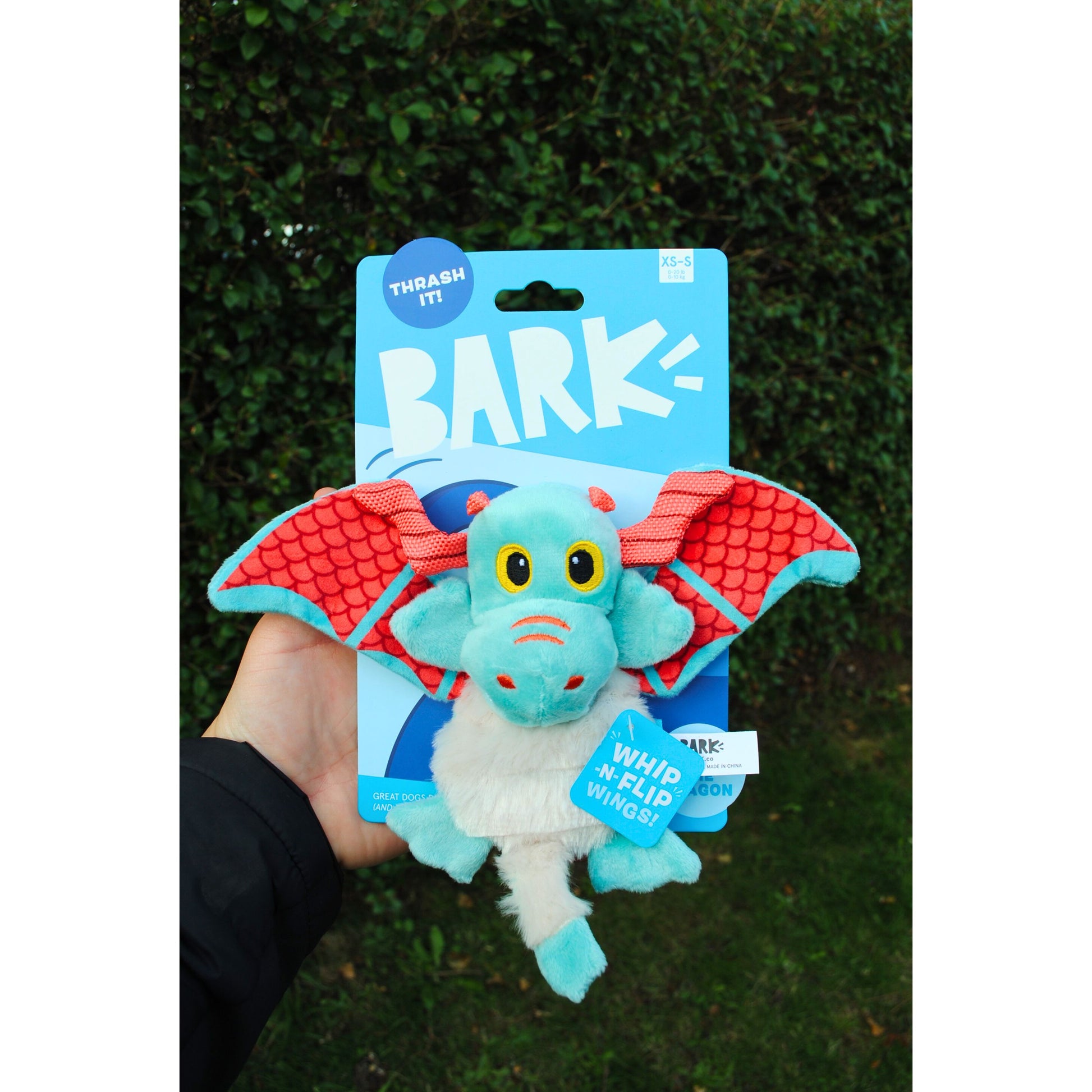 Small Colourful dragon, for small dogs