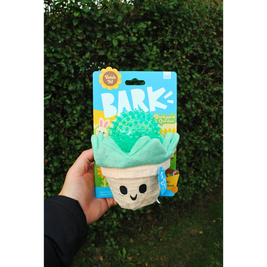 BARK Suki Succulent