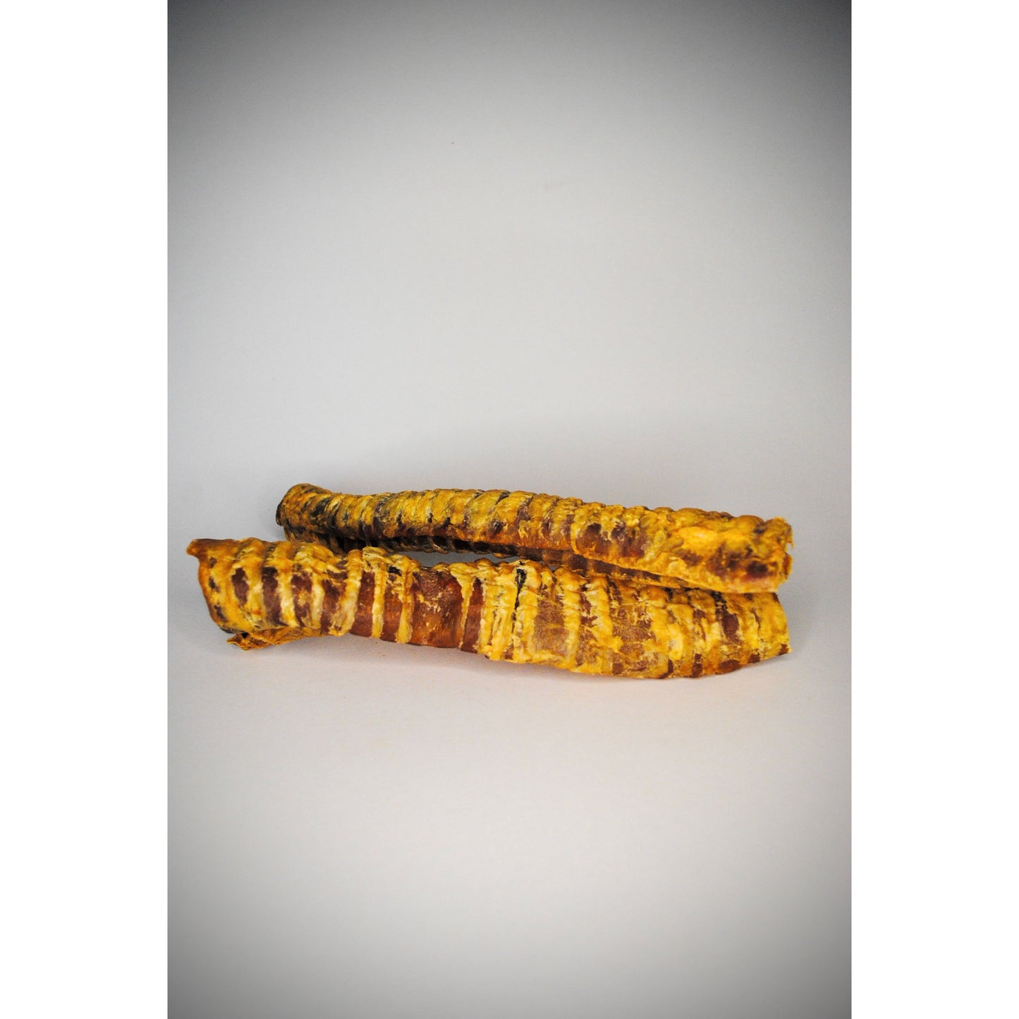 two dried beef trachea