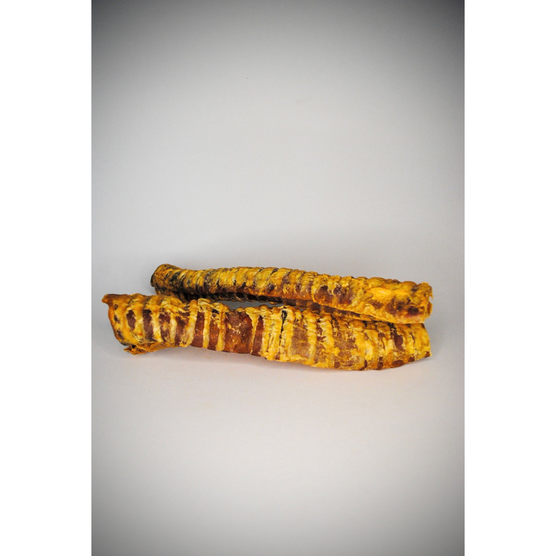 two dried beef trachea