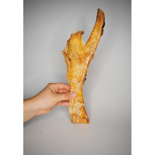 hand holding - large piece of beef tendon