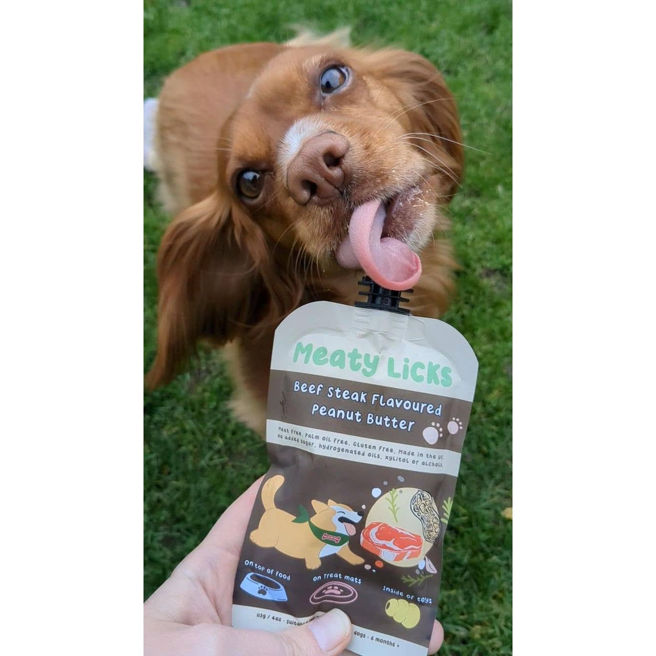 Dog licking a packet of 'Meaty Licks' beef steak flavoured peanut butter