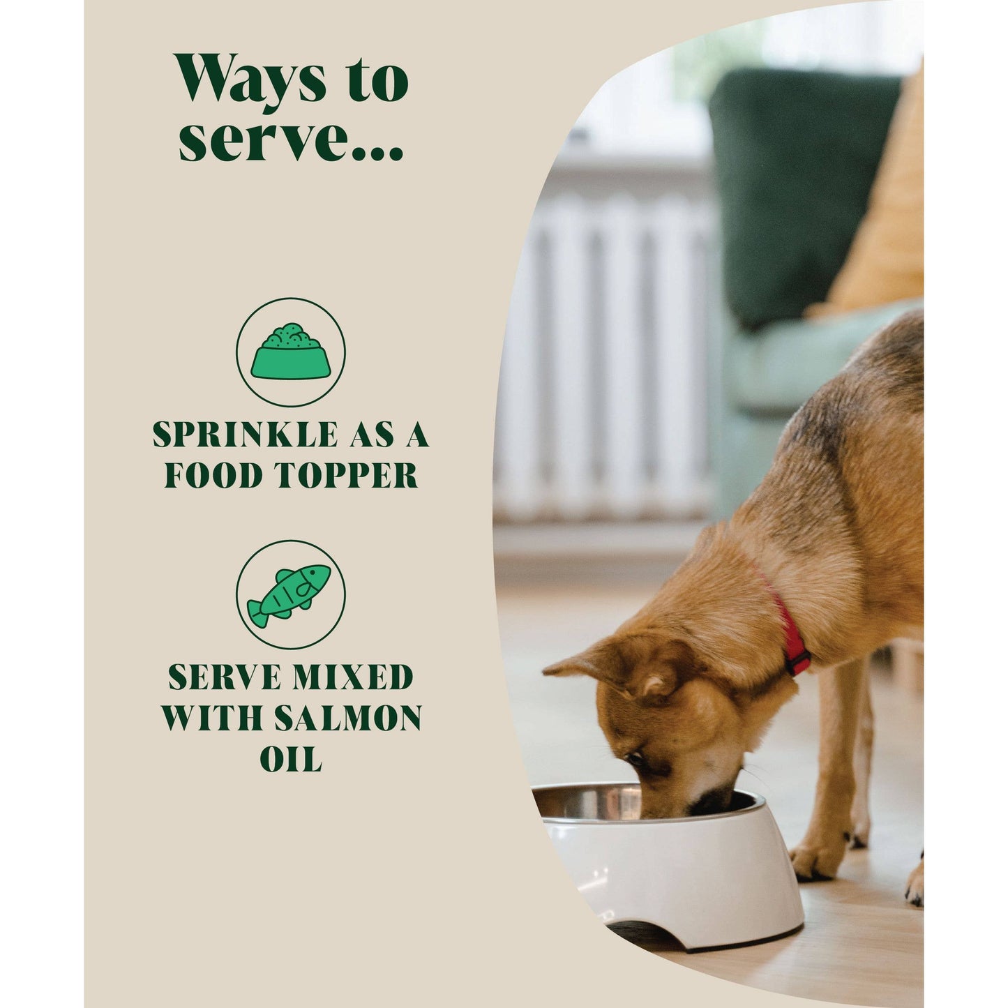 Dog eating from a bowl with text on how to serve a product, possibly pet food or supplement.
