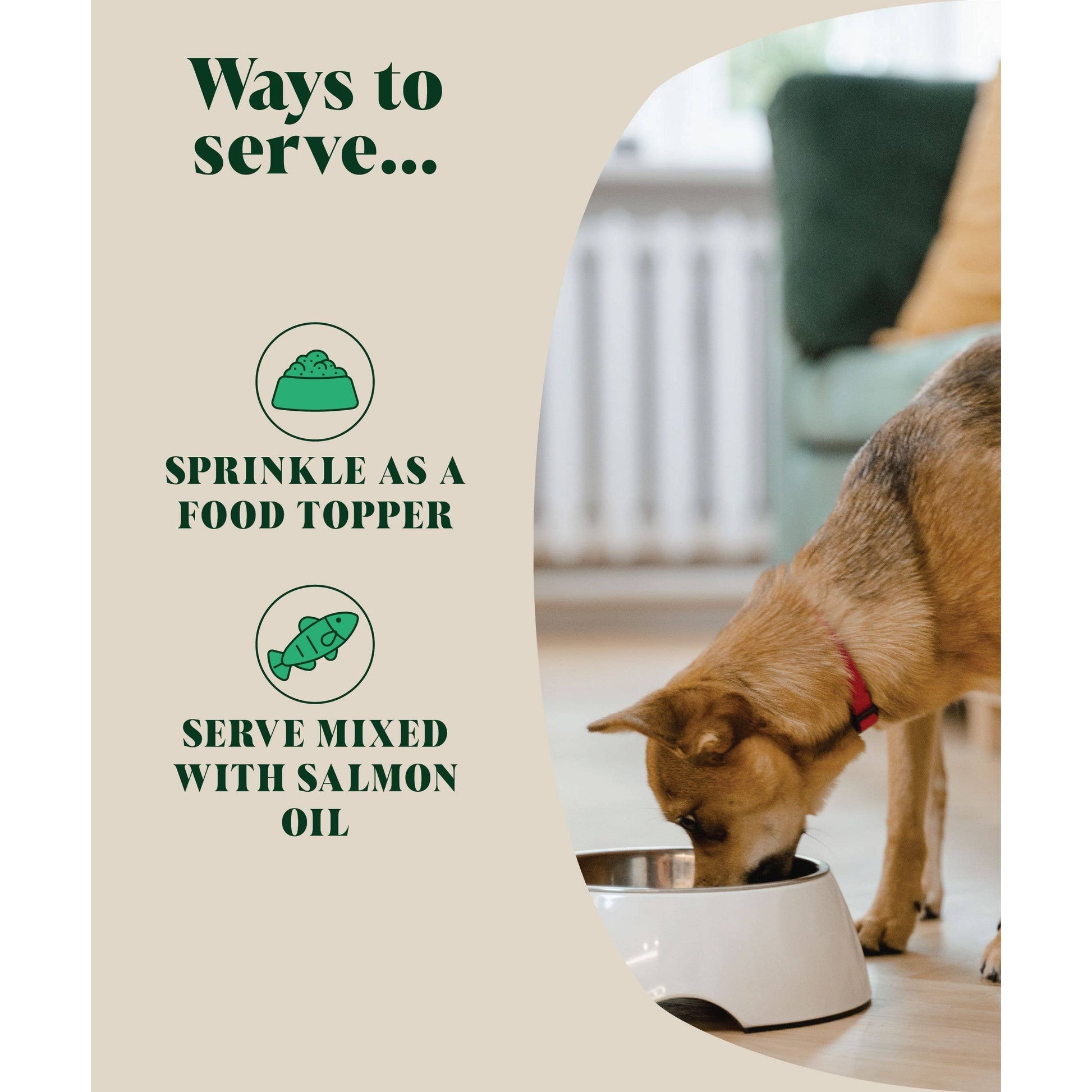 Dog eating from a bowl with text on how to serve a product, possibly pet food or supplement.