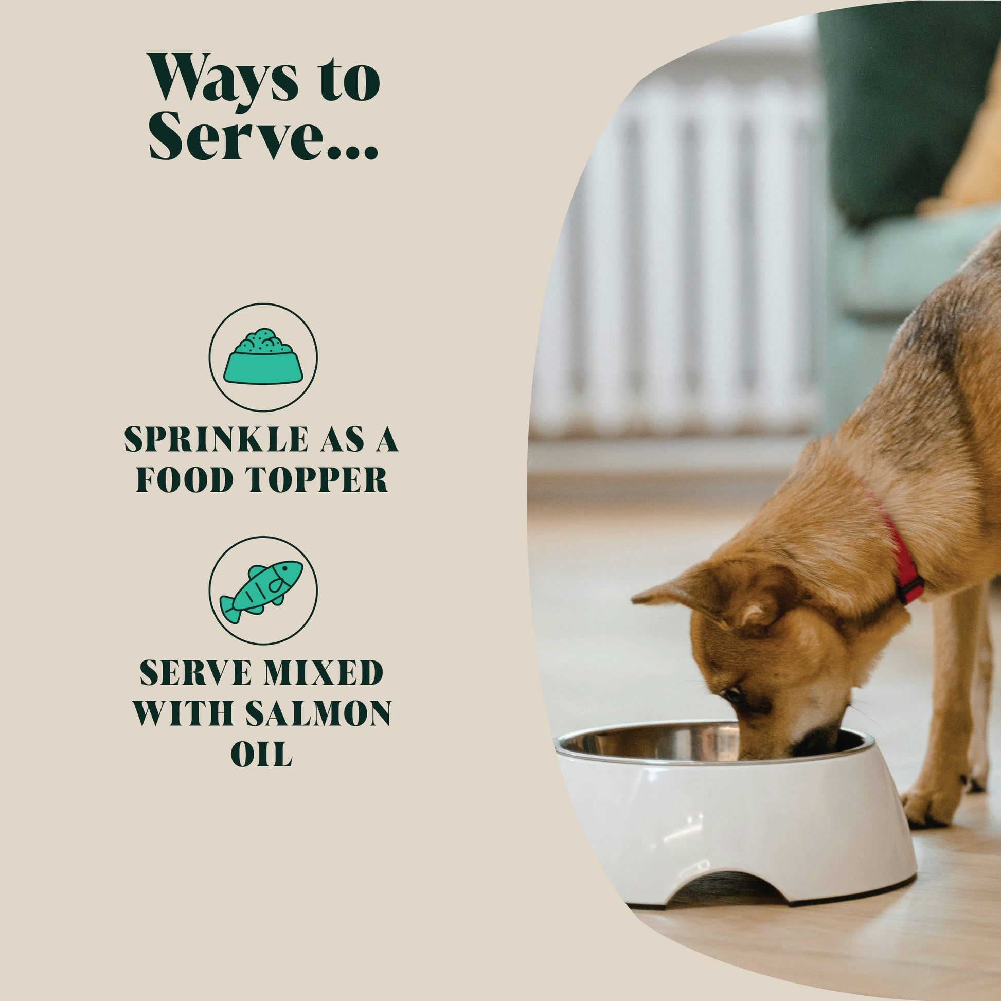 Dog eating from a bowl with text on how to serve a product