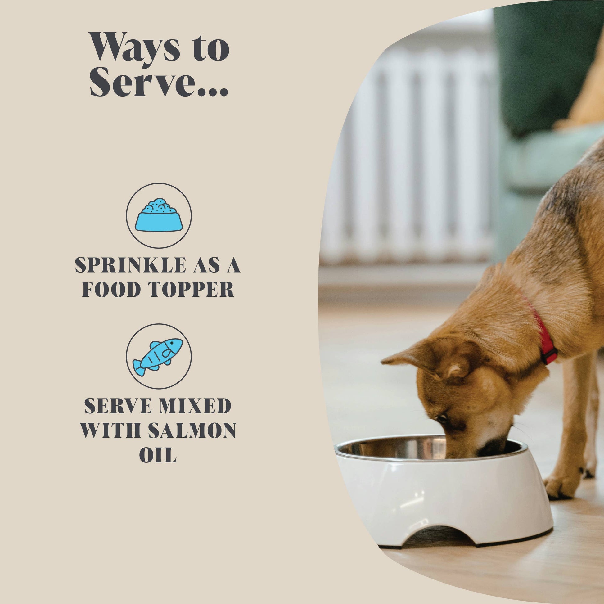 Dog eating from a bowl with text on how to serve a product