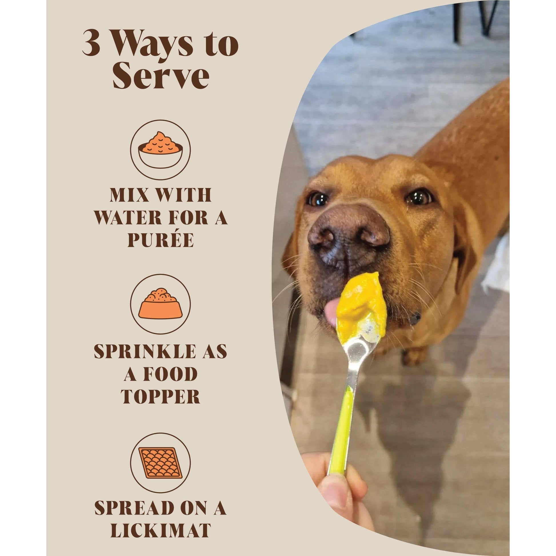 Dog eating from a yellow spoon with text on how to serve a product