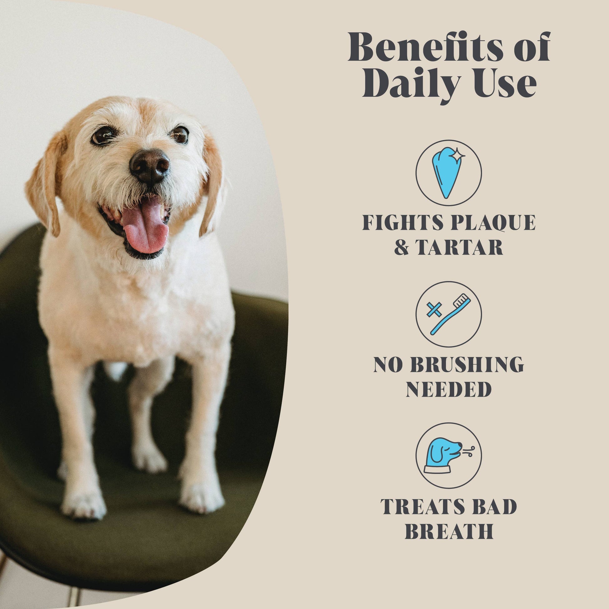 Dog with text and icons about dental care benefits on a beige background