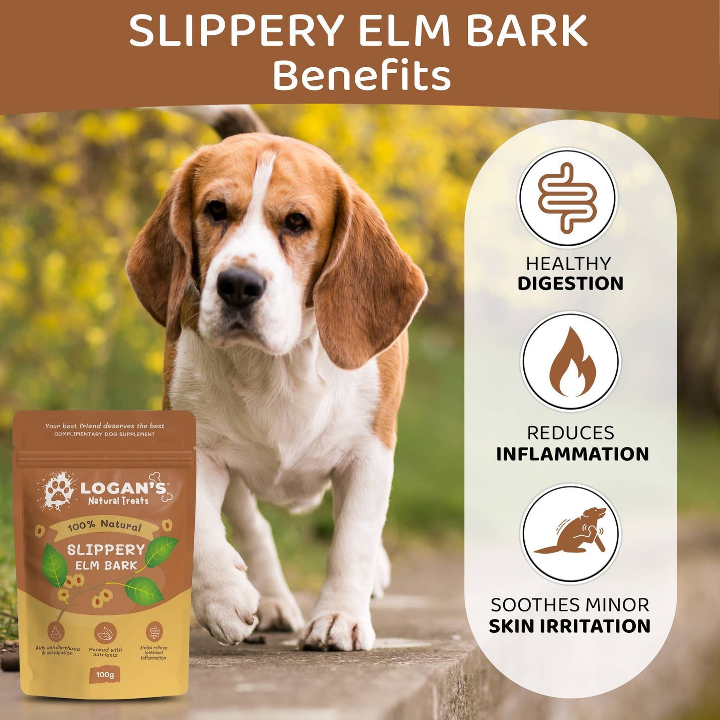 Dog standing outdoors with a package of Logan's Slippery Elm Bark and benefits listed on the right.